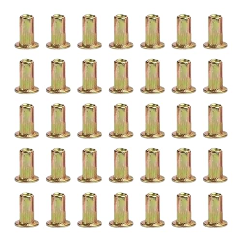 Hkfgdjdl 100 Yf|xbgibg tbgwbh uChxbg ibg [bgibg ԗpAƋ