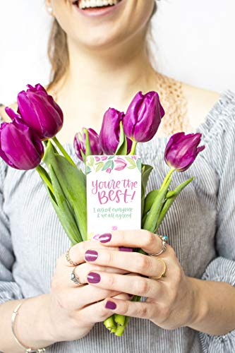Bloom Daily Planners Encouragement Card Deck - Cute Inspirational Quote Cards - Just Because Cards - Set Of Thirty 2" X 3.5" Cards - Assorted Designs #TOP4