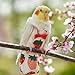 Ldabrye Bird Diaper Washable Parrot Diaper Fashion Flight Suit for Parakeets Parrot Costume Nappy Clothes for Budgies