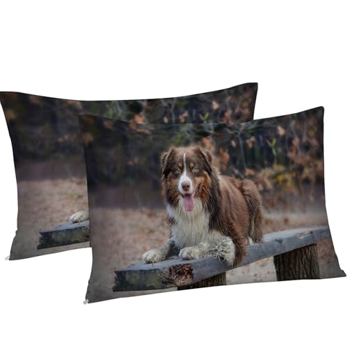 Housse de couette 200x200 chien des neiges avec fermeture éclair facile - 8