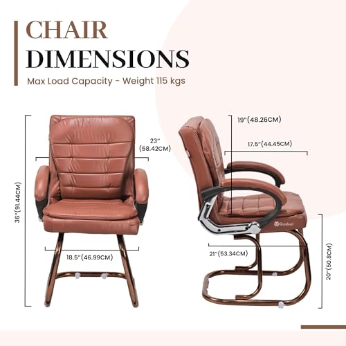 Image of GOYALSON Deluxe Cushioned Office Home Study Chair with Chrome Durable Frame and Cushioned seat Back (2, Brown, Copper Coated Double Pipe Frame)