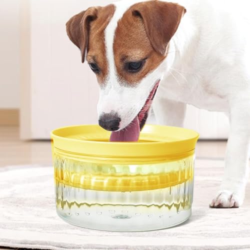 Dispensateur d'eau de chat récipient grande capacité 1800ml