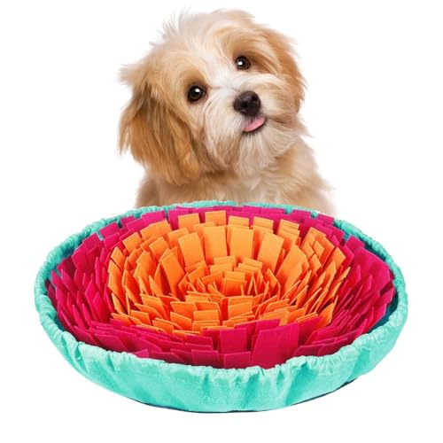 p̃hbOt[h̉a}bgAXibtpbh | pYybĝƐېH}bg - tB[hpYAq̔ZkAfBXyT[A񊊂ARȍ̉aXL𑣐i