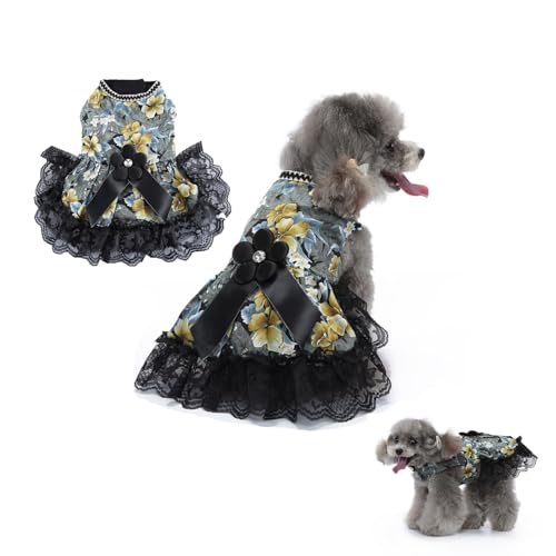 ybg tėp Lp ^ ^̕   s[X hX XJ[g Pl L hbOEFA GǍD  Ȃ m  y ʋC  j LOp[eB[ LOBe U o| (L,XS)