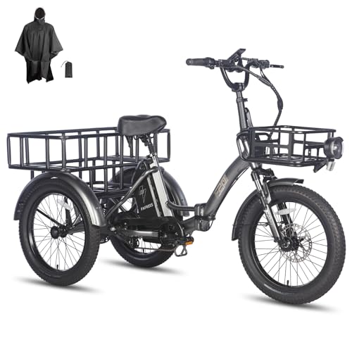 Elektro Dreirad Fur Erwachsene Mit Mittelmotor
