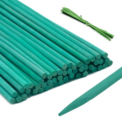 KINGLAKE 50 Pièces 60cm Tuteur Plante Support de Plantes - Piquets Plantes Résistants aux Intempéries Tuteur Tomate de Jardin pour Plantes Pois Légumes Orchidée Support,avec 50 Attaches torsadées