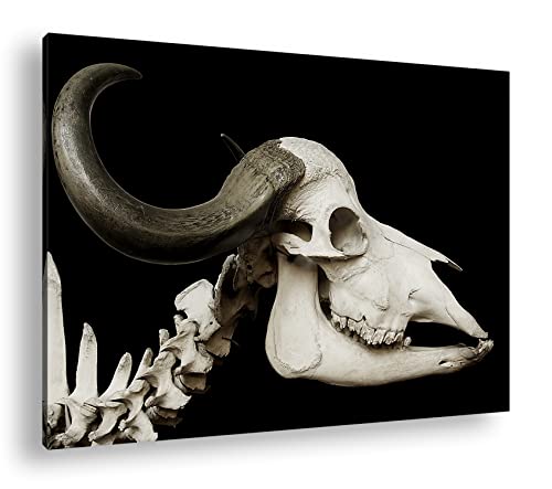 Grand crâne de bœuf de décoration deyoli cadre tableau mural 90x60