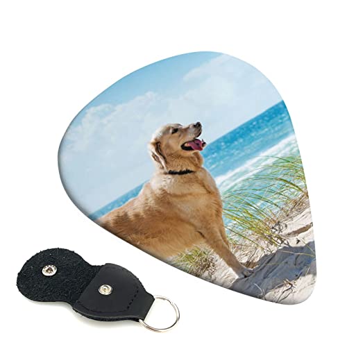 ASDTEHCY Lot de 6 médiators en celluloïd, Golden Retriever, fins, moyens et lourds pour guitares acoustiques… - Les Beatles, Paul McCartney, John Lennon, RIngo Starr, George Harrison ASDTEHCY Lot de 6 médiators en celluloïd, Golden Retriever, fins, moyens et lourds pour guitares acoustiques…