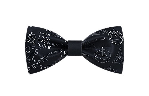 Wsysnl Einstein Printing Hand Made Bow Tie