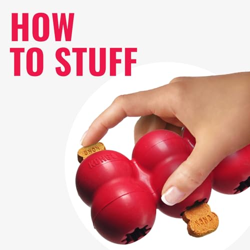 KONG Goodie Ribbon - Befüllbares Hundespielzeug aus Naturkautschuk - Kauspielzeug in Knochenform - Für Kleine Hunde