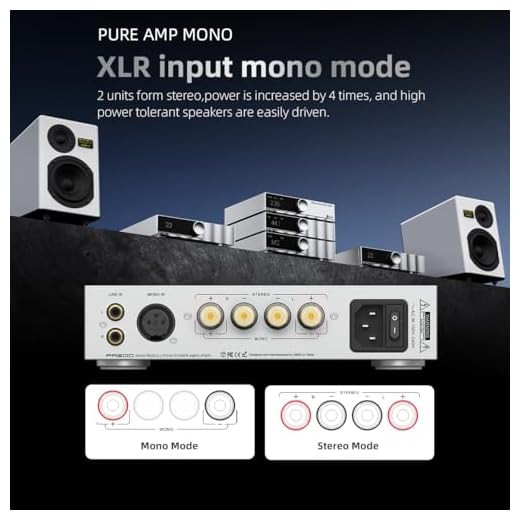 SMSL PA200 High Power Amplifier