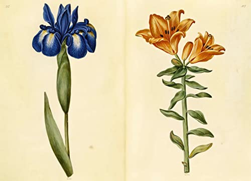 The Green Florilegium