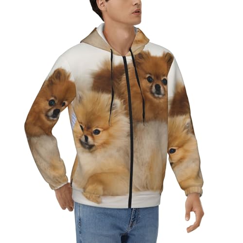 Sweat à fermeture éclair pour hommes idéal pour les promenades matinales avec son Poméranie