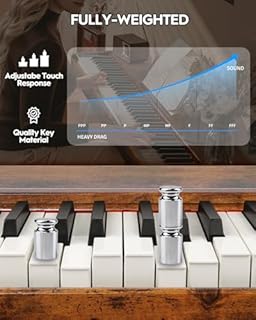 STRICH Digital Piano 88 Keys, Hammer-Action Weighted Keyboard, Full size Electric Piano Keyboard with Stand, 25Wx2 Speakers, Supports USB-MIDI/Wireless Connecting SDP-300S(Furniture Style)