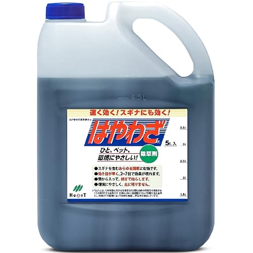 �n�[�g(Heart) �͂�킴 5L ������ �t�� ���t �W�F�l���b�N ��łȎG�� ���� ���܂Ō͂炷 �� �X�M�i ��n ���ԏ� ����