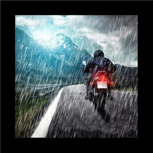 Feu arrière frein résistant aux vibrations 12V moto avec support plaque
