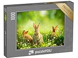 puzzleYOU: Puzzle 1000 Teile „Kaninchen zwischen Frühlingsblumen und grünem Gras“ – aus der Puzzle-Kollektion Hasen
