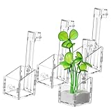 ERINGOGO 4 Aquarium Pflanzenhalter Transparente Wasserpflanzen Tassen Wiederverwendbar Dekorativ...