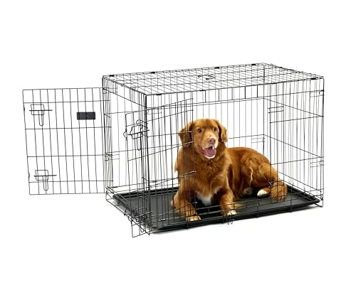 Carlson Secure and Compact Double Door Metal Dog Crate, Intermediate with Divider Panel