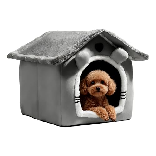 Joiozcon Lpybgxbh - 􂦂_炩EEpbht,킢 ^ xbh L p P[u - q ^  ETM  O rO[ oRj[ Ap[g ItBX K[f p