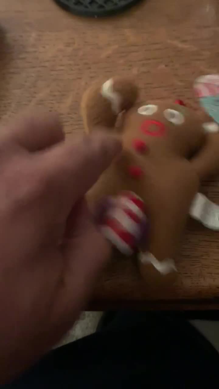 Tekky Naughty Dirty Talking Gingerbread Man Christmas Tree Ornament and Gag Gift, Tan on Amazon Live