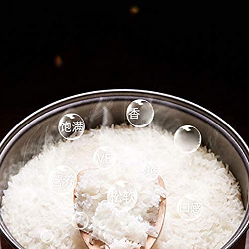 Mini fogão de arroz doméstico, fogão de arroz pequeno, fogão de arroz inteligente humano, tanque de