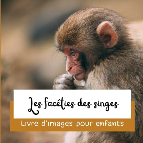 Les facéties des singes: Livre d'images pour enfants (French Edition)