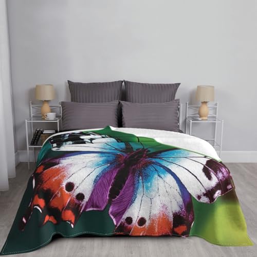 Couverture pour canapé papillon flanelle 127x101 cm microfibre