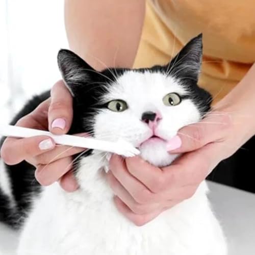 KIT Escova Dente Pet 3 Escovas de Dente para Cachorro e Gato 1 Escova Dupla + 2 Escovas de Dedo de S