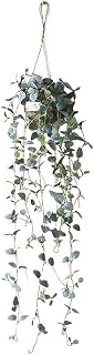Artificial Plastic Plant Vine Small Hanging Basket Ornament for Indoor Walls, Shelves, Cabinets, Kitchens, Studies, Desks, Living Rooms 3.5-Inch Basket (Leaf A)