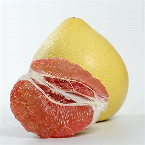 Chuxay Garden 45 Seeds Red Shaddock Pomelo, Pummelo,Chinese Grapefruit Fruit Tree Sweet Organic Non-Gmo Fruit #TOP4