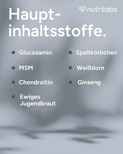 NutriLabs Canicox®-GR Nahrungsergänzung für Senioren-Hunde 500 ml - Nahrungsergänzung für Senioren-Hunde mit MSM, Chondroitin, Glucosamin, Ginseng u.v.m. - Gesundheitsprodukte für Hunde