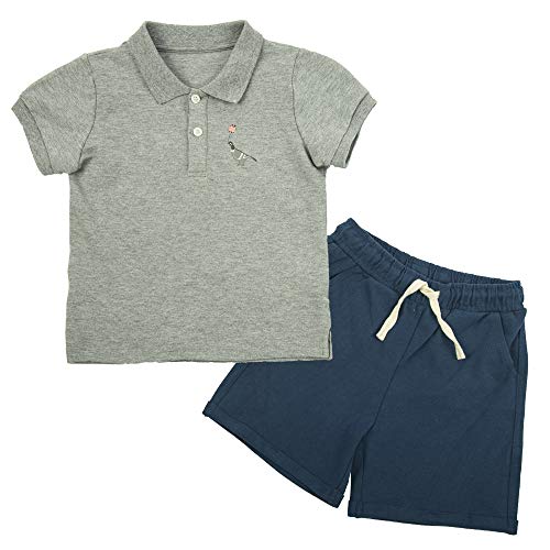 COTTON FAIRY Baby Boy Polo Shirts and Pants 2 Piece Shorts Set Outfits Grey and Blue 18 Months