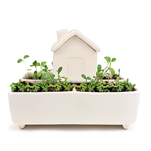 Gift Republic Self Watering House Herb Grow Kit Basil Rosemary Th...