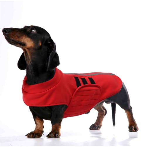 babepet Small Dog Winter Coat,Dog Jumper,Warm Dachshund Clothes,Miniature Dachshund Jacket,Reflective Adjustable Dog Vest Pullover with Leash Hole,Dog Sweatshirt for for Dachshund-Red-XS