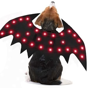 Halloween Pet Costume Cosplay Apparel Dog Cat Costume for Party Costume for Small Medium Dog Costume,Large