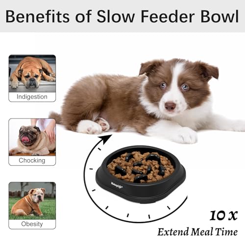 MateeyLife 2-Pack Slow Feeder Dog Bowls, 1 Cup, Dog Puzzle Feeder Bowl by MateeyLife - Used condition - Image 2