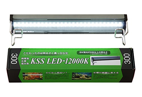 Amazon | KSS(ケイエスエス) LED-12000K 300 | KSS(ケイエスエス 