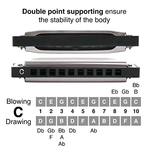 Harmonica For Kids And Adults, Beginners Blues Harmonica Mouth Organ In The Key Of C, 10 Holes 20 Notes Diatonic Harp Musical Instrument With Storage Bag And Cleaning Cloth By Small Fish #TOP3