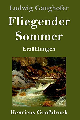 Fliegender Sommer (Großdruck): Erzählungen (German Edition)