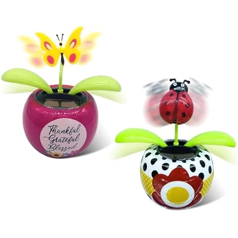 Chingde Fleur de Danse Solaire Cover