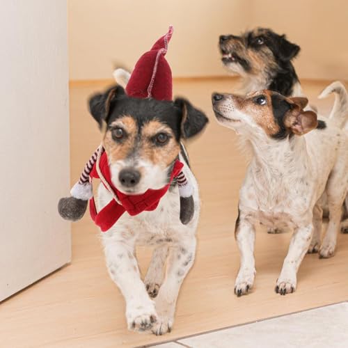 Disfraz Santa Gnome para Perro Tamaño S miniatura 6