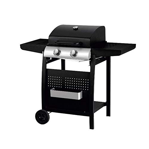 Gas Barbecue 2 Burners Lightweight | Made of Steel Integrated Thermometer | Meat Grill