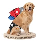 NATURE PET LÄUFIGKEITSHOSE FÜR HÜNDINNEN – Hundewindeln für Hündinnen & Rüden – Wiederverwendbare Inkontinenz-Hundewindel aus Neopren – Waschbar, verstellbar & bequem – M | Schwarz NATURE PET LÄUFIGKEITSHOSE FÜR HÜNDINNEN – Hundewindeln für Hündinnen & Rüden – Wiederverwendbare Inkontinenz-Hundewindel aus Neopren – Waschbar, verstellbar & bequem – M | Schwarz