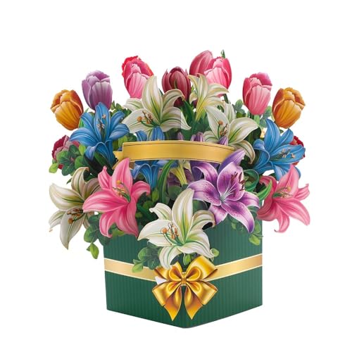 |bvAbvt[u[PJ[h 3DO[eBOJ[h 10C` g̉ĩy[p[t[u[PMtg ubNm[gJ[h&t aAALOACɉ߂A肪ƂAo^Cf[A̓(΂̉)