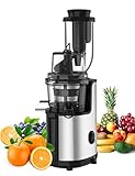 Máquinas exprimidoras lentas, potente extractor de exprimidor, exprimidor de prensa fría con motor silencioso y función inversa para frutas y verduras frescas, fácil de limpiar con cepillo