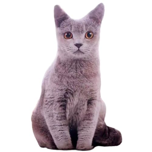 RICHAR L ʂ NbV50cm AV A _炩 YQ (O[)