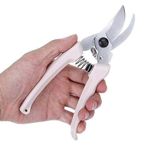 Business To Customer Grafting Tool Fruit Tree Pruning Shears Bonsai
