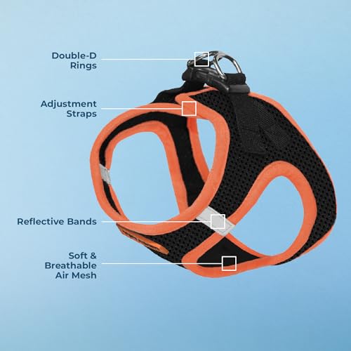Image of Voyager Step-in Air Dog Harness - All Weather Mesh Step in Vest Harness for Small and Medium Dogs by Best Pet Supplies - Orange Trim, L