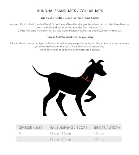 Jack & Russell Premium Leder Hunde Halsband mit Haltegriff - Leder Hundehalsband mit Ledergriff - Echtleder Halsband mit Griff - stabiles Büffelleder Jack (L)